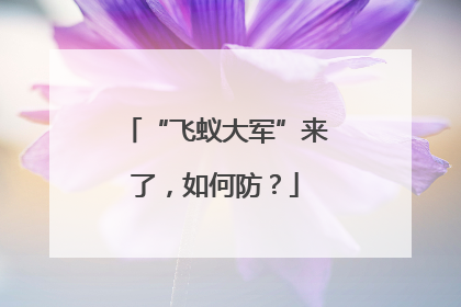 “飞蚁大军”来了，如何防？